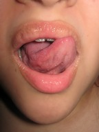 vore tongue lips photograph honeybee point_of_view