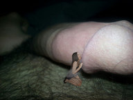 collage color giant male penis licking pubic_hair skirt high_heels kneeling nylons shrunken_woman top penis_worship