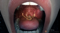 vore tongue mouth teeth saliva shrunken_woman point_of_view emi digital_render