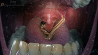 vore tongue mouth teeth saliva shrunken_woman point_of_view emi digital_render
