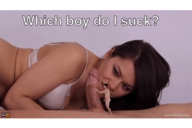 Which.gif