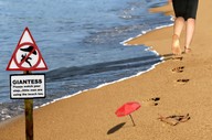 miss_l_loves_making_footprints____by_crlvr-dag5ww8.jpg