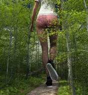 giantess panties butt shoes walking trees trail digital_render non_nudet_shirt