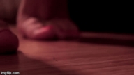 1d66c0.gif