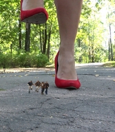 collage feet high_heels shrunken_men foot_crush raised_foot imminent_crush