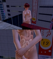 giantess vore city blue_eyes brunette digestion elf red_hair stomach internal_view digital_render madamemaeve internals