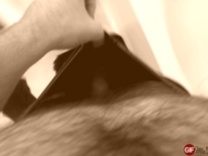 IMG_3636.GIF