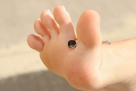 collage feet licking toes foot_worship shrunken_man between_toes digital_render starkadhr