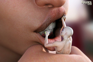 teeth handheld slave bondage close_up open_mouth cleaning spawngts digital_render bald scrubbing