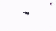 giphy.gif
