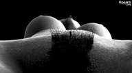breasts nipples gentle collage nude monochrome pubic_hair legs shrunken_man spawngts trimmed pubic_mound