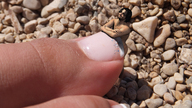 collage toes shrunken_man looking_up outdoors pedicure toenail big_toe digital_render starkadhr