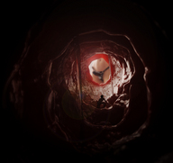 pussy wet shrunken_man wet_pussy point_of_view strapon internal_view digital_render openhighhat