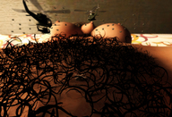 giantess micro nude giga large_breasts pubic_hair helicopter lying_down digital_render openhighhat hair_forest