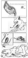 vore furry dog inside