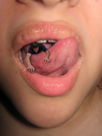 collage vore tongue mouth teeth struggle shrunken_men