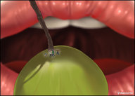drawing color shrunken_men unaware open_mouth giantessfan grape imminent_vore a_weekend_alone lips_parted valerie_bradson jieun