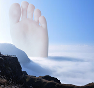 collage mega toes barefoot soles outdoors fog