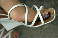 collage feet domination in_shoe sandals shrunken_man under_foot nylon source_needed imminent_crush msku