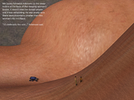 nude sleeping large_breasts long_hair brunette story unaware body_exploration digital_render openhighhat the_signal