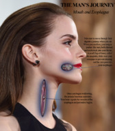 collage vore mouth digestion story hard_vore shrunken_men x-ray swallowed emma_watson grossfetishgreg esophagus
