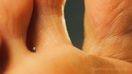Giantess_Loryelle_Unaware_Ant_People_Massacre_SFX_Feet_022.jpg