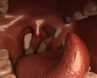 giantess vore tongue mouth teeth socks throat swallowed boomgts digital_render up_close
