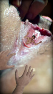 collage insertion pussy shrunken_men hand point_of_view labia shaven up_close sfxhh3
