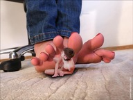 collage feet barefoot shrunken_man under_foot red_nails msku