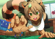 breasts drawing tail color clothed barefoot green_eyes brunette reaching shrunken_people looking_at_victims tanuki_girl eudetenis tanuki moriko