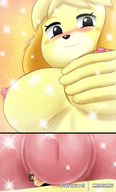 breasts drawing nipples gentle nude furry blushing color large_breasts shrunken_man nipple_play squeezing isabelle no_background animal_crossing looking_at_tiny micromike