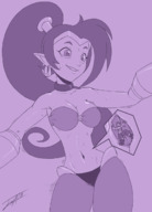 drawing monochrome large_breasts long_hair clothed bra sweat smiling navel dancing belly_dancer jora-bora shantae in_belly_button risky_boots bare_midriff
