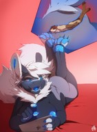 breasts drawing nipples nude feet furry anthro color butt toes soles anal paws anal_insertion piercing looking_back augi raised_legs internal_view looking_at_tiny ipad muzz
