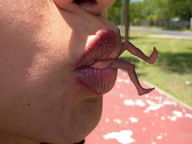 collage vore shrunken_person outdoors