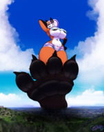 drawing giantess collage furry giga anthro color large_breasts huge_breasts fox ponytail underboob shorts walking sheela raised_foot
