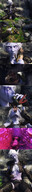 white_hair panties feet vore blonde armor clothed handheld toes barefoot soles sequence high_angle smiling elf short_hair sitting shrunken_woman inside_mouth world_of_warcraft swallowed curly_hair inside_stomach night_elf braid panels purple_skin internal_view skimpy_clothing looking_at_tiny pointed_ears digital_render hair_bun madamemaeve bare_midriff cywen