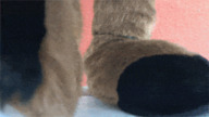 feet furry upskirt clothed soles low_angle foot_crush looming animation looking_down hooves under_foot point_of_view looking_at_viewer deer lotuslafawn fursuit doe