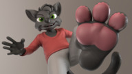 furry cat anthro barefoot green_eyes looking_down pants shirt point_of_view looking_at_viewer raised_foot digital_render evil-sprite