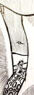 drawing nude monochrome sarah emily ed ednem