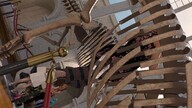 giantess color clothed stockings pink_hair dress short_hair indoors museum digital_render velocity-vektor dinosaur_skeleton
