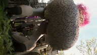giantess mega color butt clothed buildings clouds outdoors sky trees rear_view temple digital_render velocity-vektor
