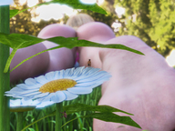 panties feet blonde butt soles low_angle shrunken_man grass flower digital_render openhighhat nano nikkiscutefeet on_flower
