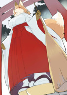 drawing furry blushing tail anthro color large_breasts clothed red_eyes brunette fox low_angle sandals looming looking_down outdoors point_of_view broom shrine_maiden tabi_socks きしべ kishibe