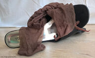 collage high_heels socks shrunken_man _marklovefeet