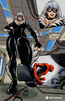 black cat lucky for spidey.jpg