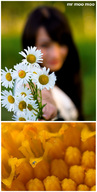gentle black_hair shrunken_men nature