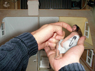collage male handheld dollhouse shrunken_woman
