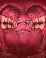 drawing vore color anime acidic point_of_view