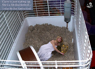 blonde slave shrunken_woman cage entrapment swattr