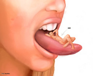 drawing giantess nude vore small_man tongue anime shrunken_men naked_man tincanman
